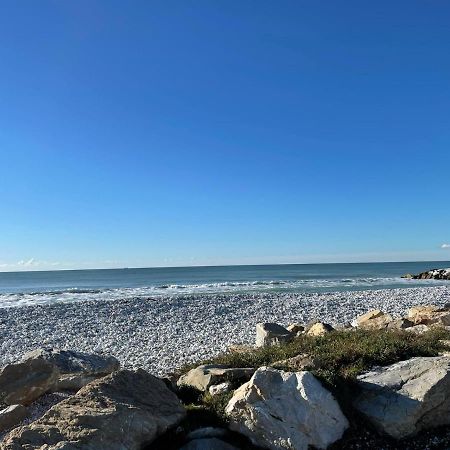 Azzurra House Lejlighed Marina Di Pisa Eksteriør billede