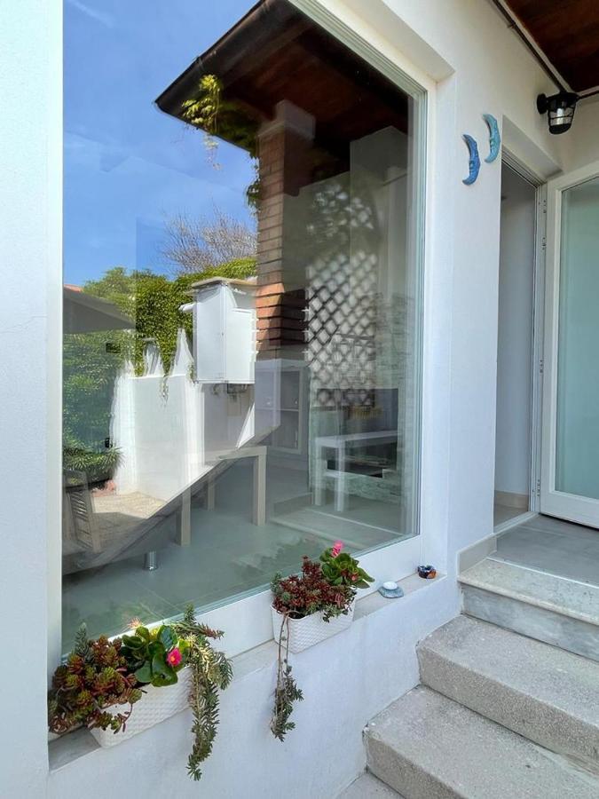 Azzurra House Lejlighed Marina Di Pisa Eksteriør billede
