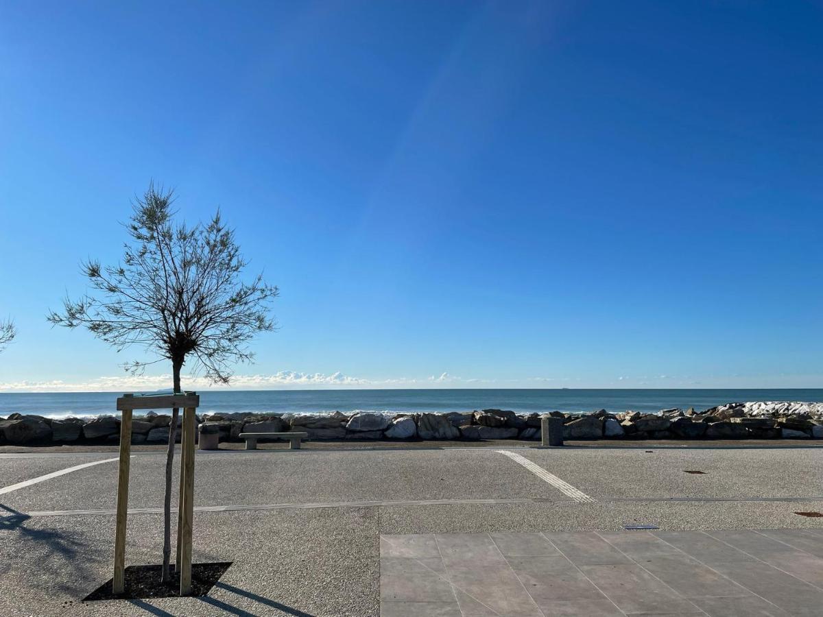 Azzurra House Lejlighed Marina Di Pisa Eksteriør billede