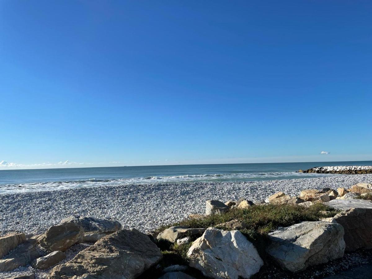 Azzurra House Lejlighed Marina Di Pisa Eksteriør billede